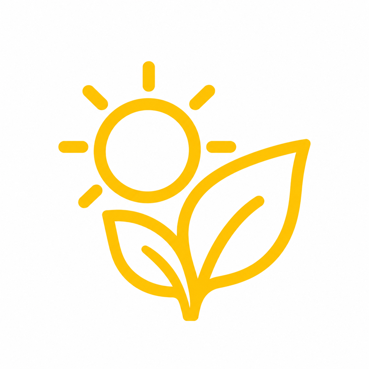 Energía limpia con paneles solares
